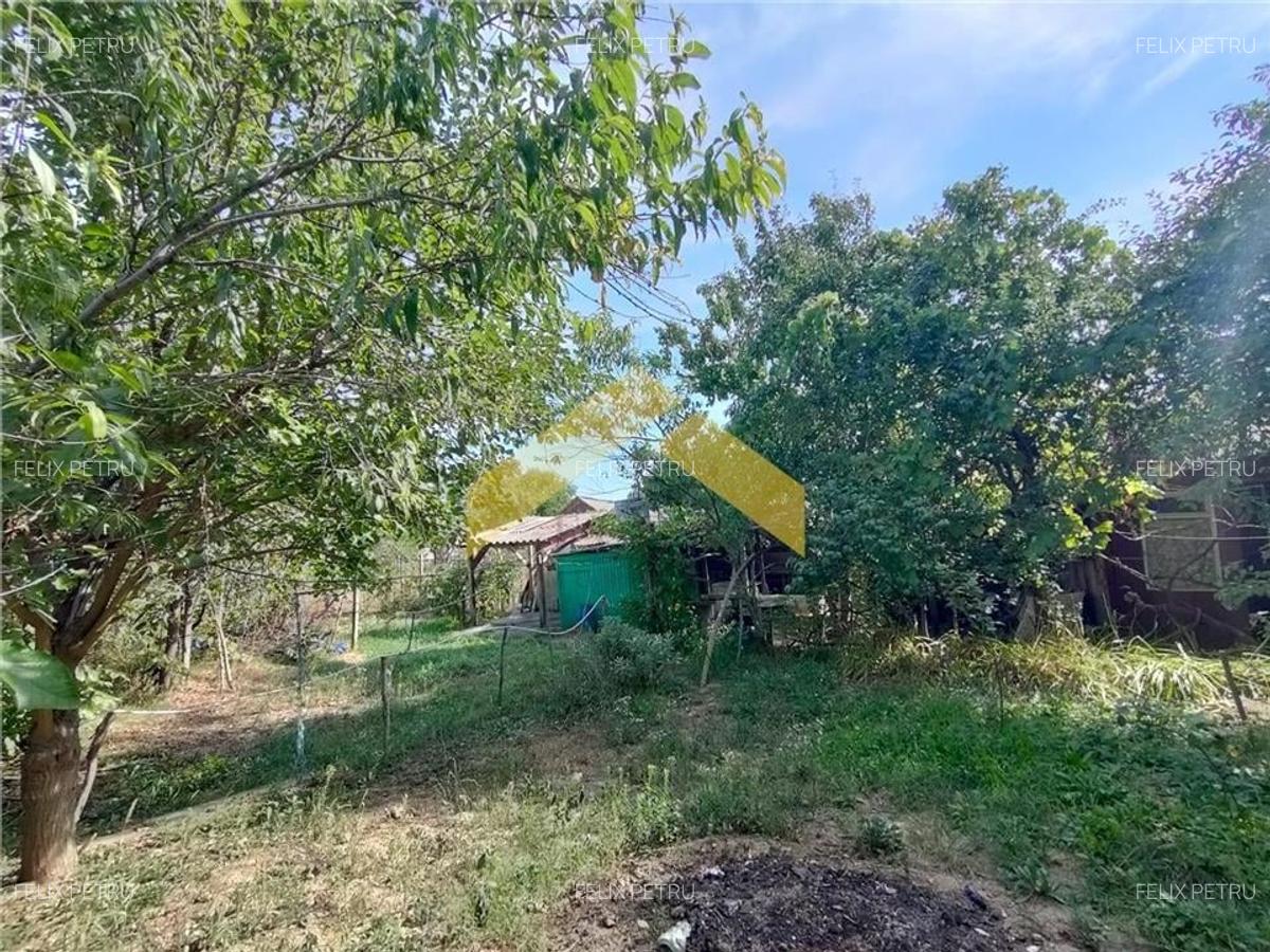 Casa de vanzare in Bodrogu Vechi - 3
