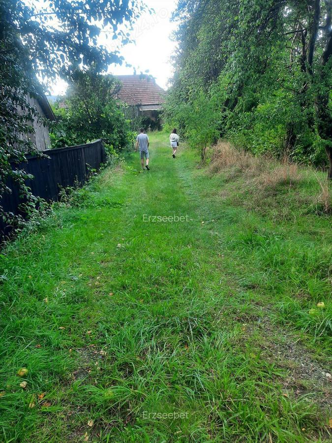 Casa de Mun?i ?i Teren Generos Ocna de Jos, Praid (Harghita) - 5