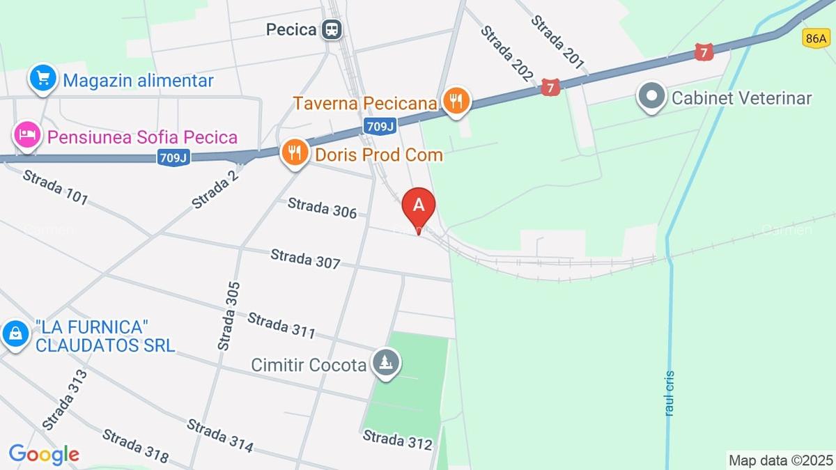 Casa de vânzare în Pecica - 1