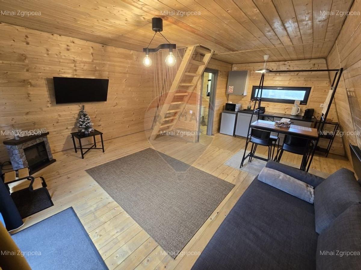 Proprietate Speciala in Gura Raului, Sibiu - Doua Cabane A-Frame - 3