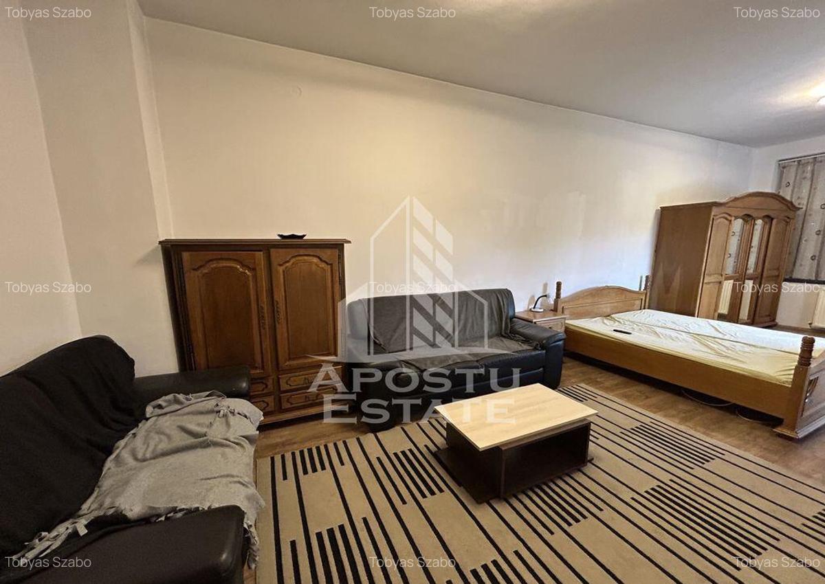 Apartament cu o camera, semidecomandat, in zona Balcescu - 1