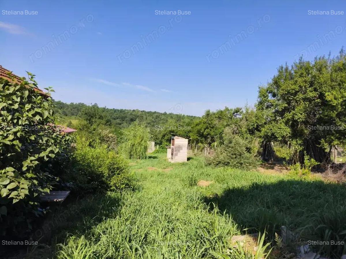 Casa P+M la gri de vanzare Rasova, comuna Bale?ti - 10