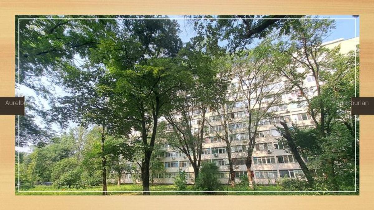 Metrou Costin Georgian, intre parcurile IOR si Morarilor. - 2