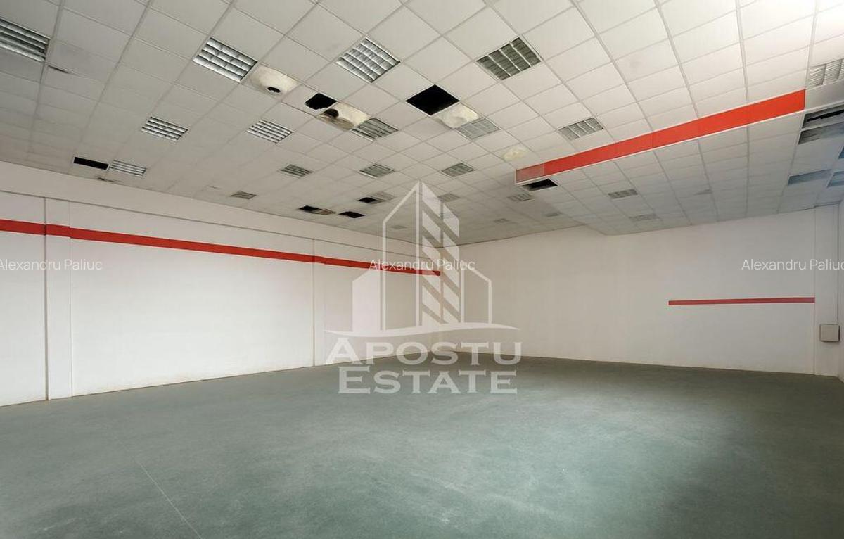 Hala pentru depozitare sau productie, 435 mp, Calea Sagului - 1