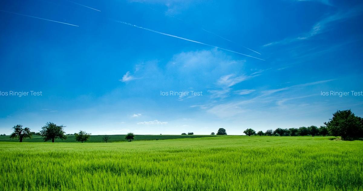 Land rent  in Timisioara - approval 10.07.2025 - 1