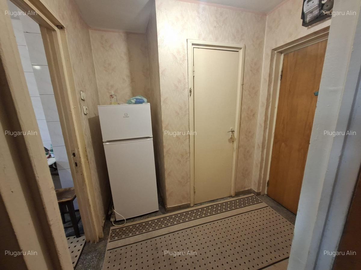 Obor,Colentina,stradal,Teiul Doamnaei 15 minute metrou - 9