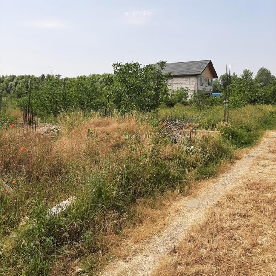 Domnesti, str. Salciei, teren 500 mp - 2