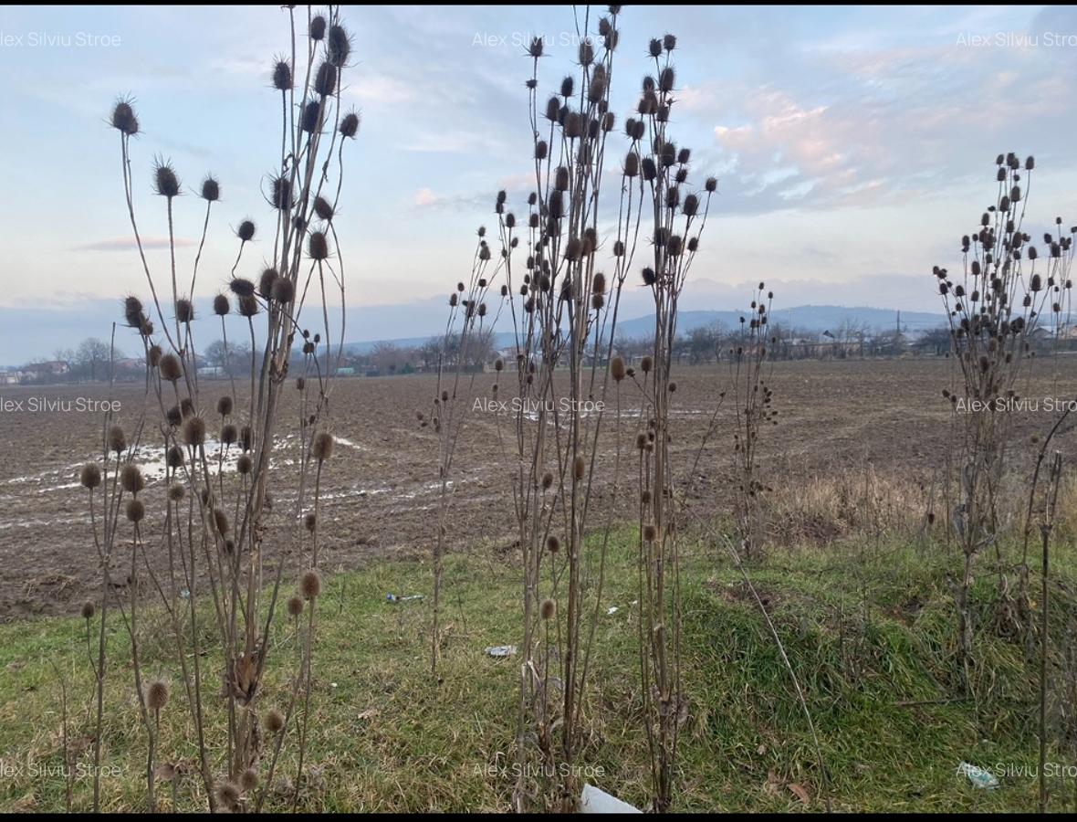 Vand teren agricol Lipanesti Prahova - 5