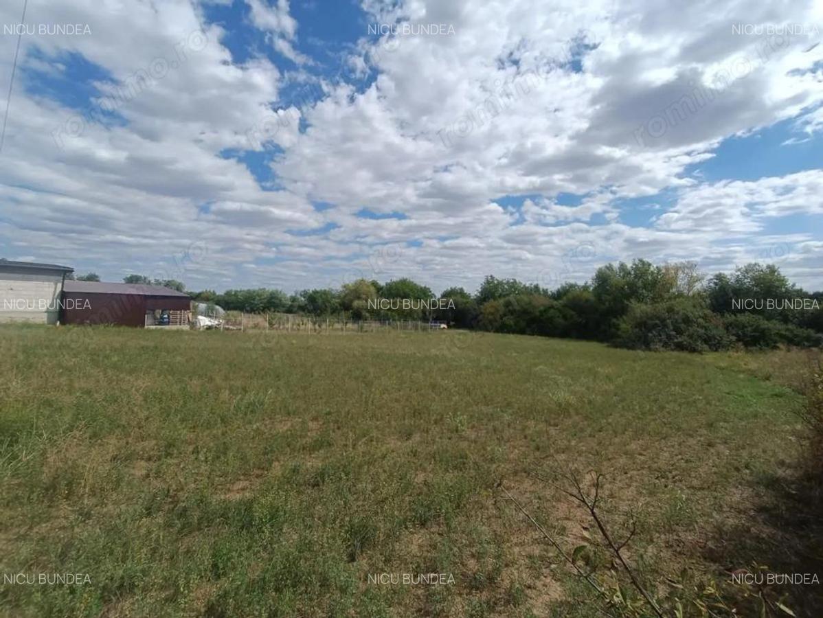 Descopera o oportunitate rara: Teren intravilan- 2.000 mp in Zadareni - 4