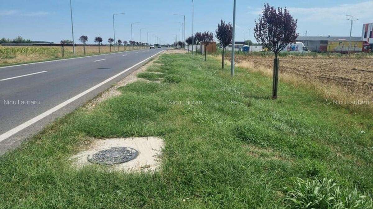 Vanzare Teren Rezidential Branesti Ilfov 1400MP - 3