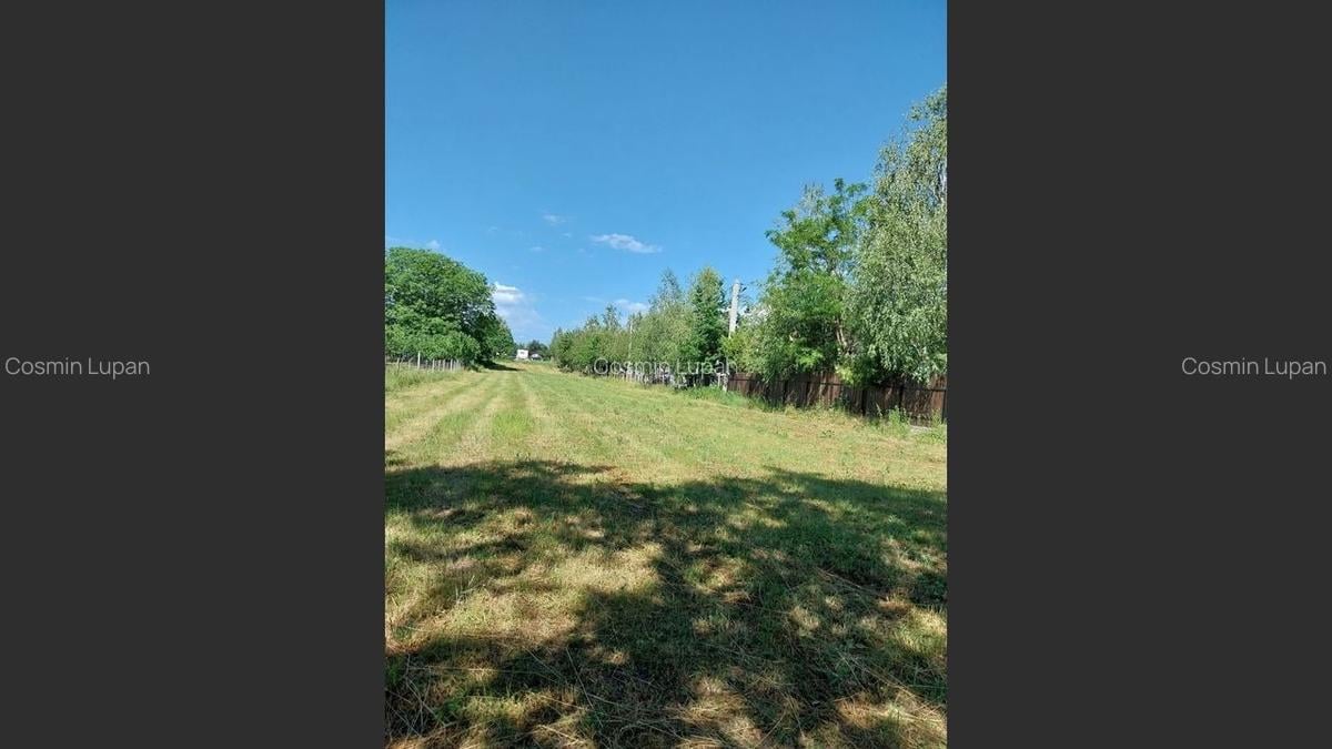 Teren 1942 mp, Baicoi, EUR32.500 - 2