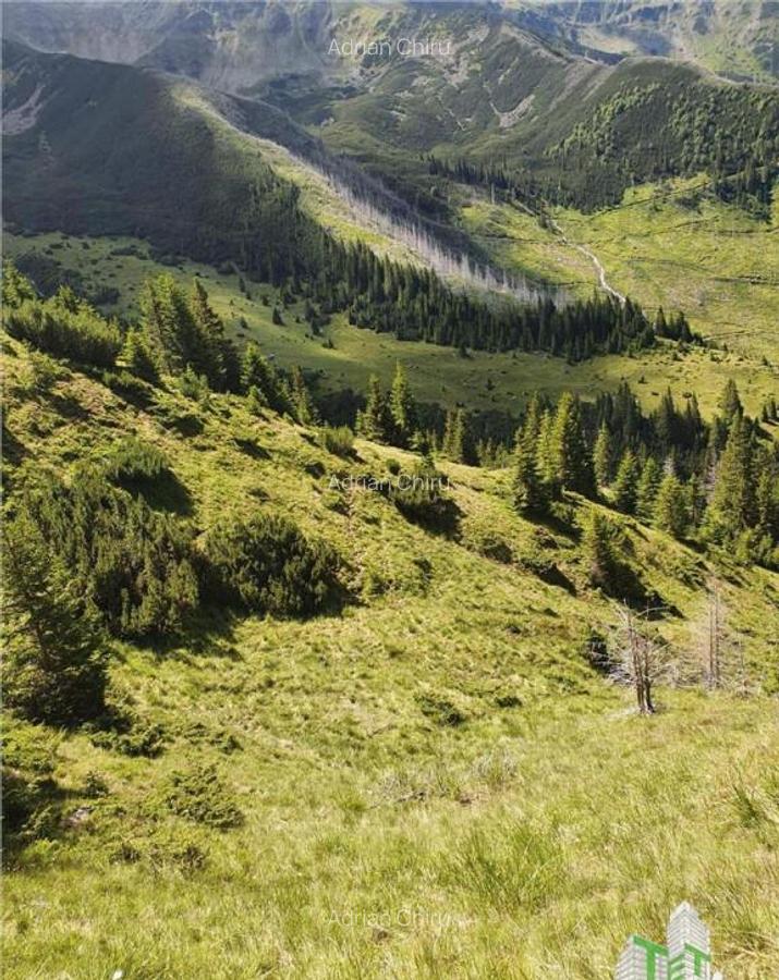 SUPER OPORTUNITATE, DE VANZARE O PROPRIETATE SPECIALA, MUNTE - 2