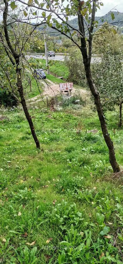 Casa de vanzare - teren 2357 mp in comuna Pietrari - 1