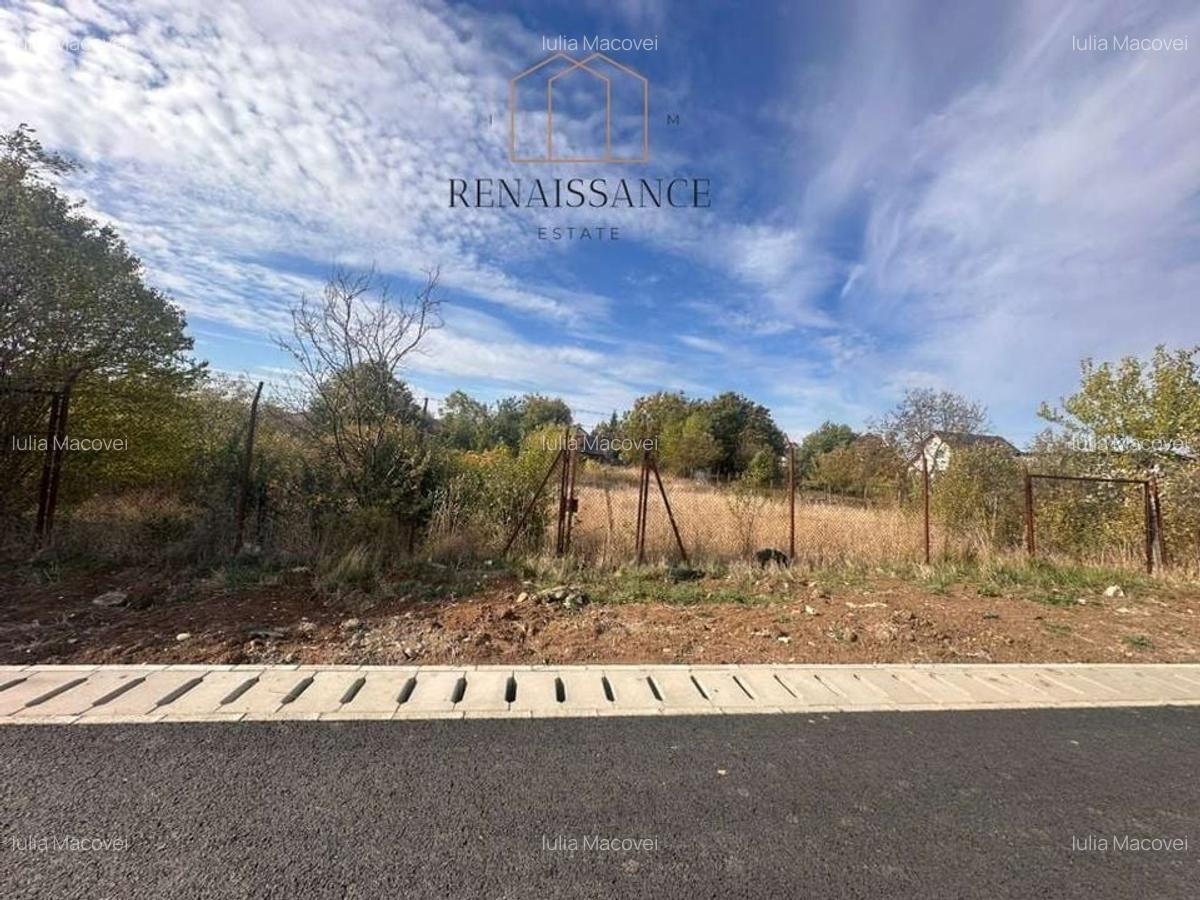 Giarmata Teren 1889mp Front 27.5m Pretabil Duplex/Triplex - Asfalt - 4