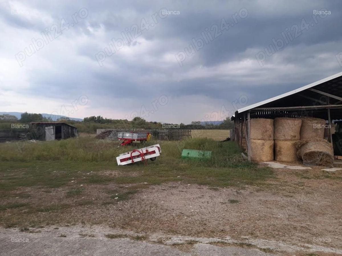 Ferma de inchiriat teren 21.000 mp, utilita?i complete pt activitate agricola si sau logistica - 3
