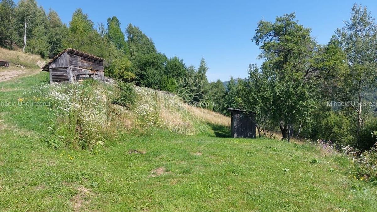 Teren intravilan zona montana investiție Rachitele Cluj 4.330 mp - 4