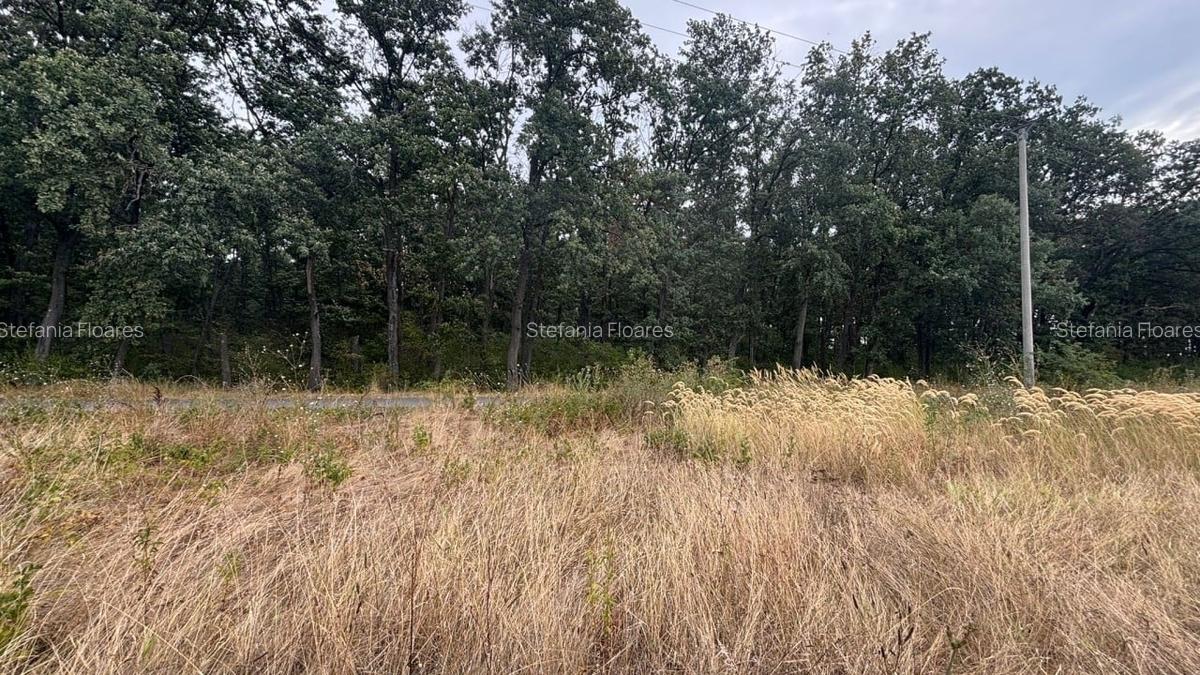 REL4001187 Teren de vanzare 3500 mp la padurea Petresti - 3