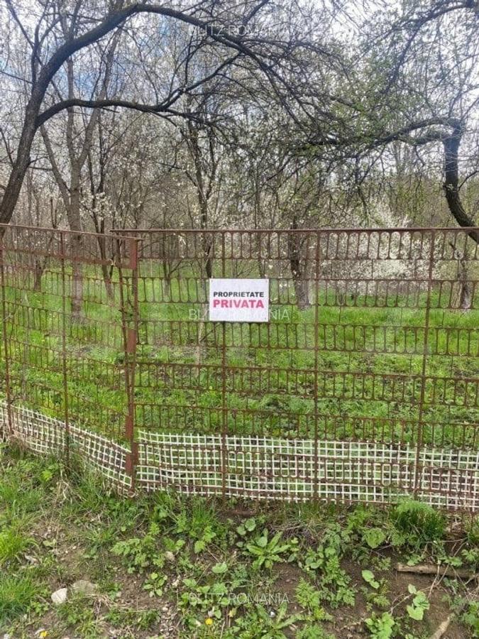 Teren 784 mp, Nistoresti, jud Prahova - 4
