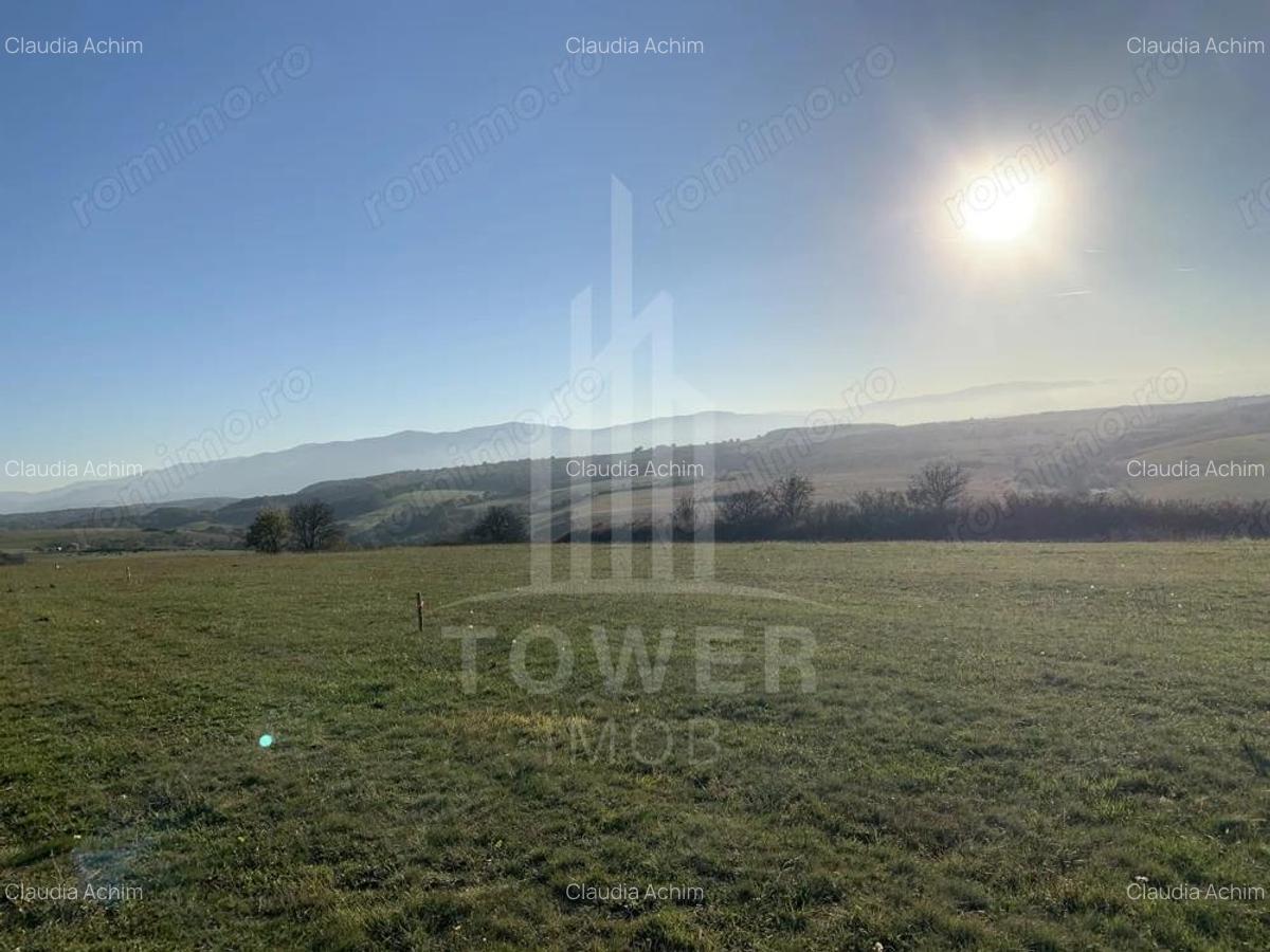 Teren pentru constructie cabana in Dealul Daii-parcele de 650 mp - 3 Teren pentru constructie cabana in Dealul Daii-parcele de 650 mp - 3