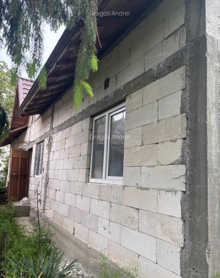 De vanzare casa 3 camere la rosu - 2