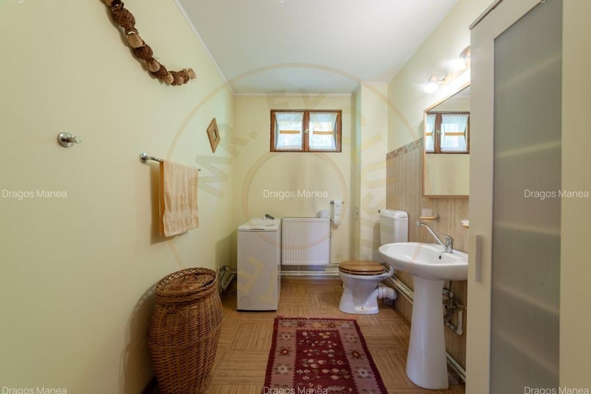 Casa rustica P+1 in zona de deal - Bogati, AG - 14