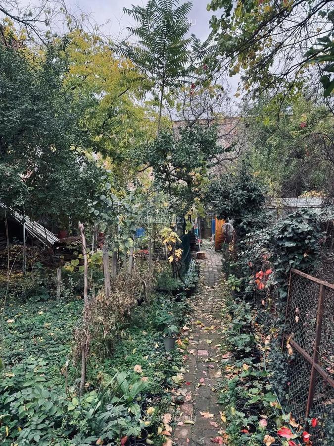 AV664 Apartament 1 camera, Iosefin vis-a-vis de Piata Iosefin - 3