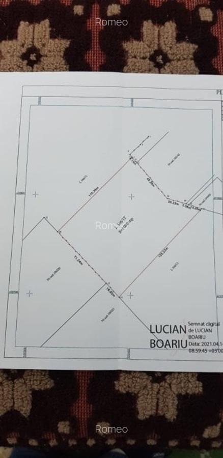 Teren Construcții extravilan de 10000 mp, în Bod - 3