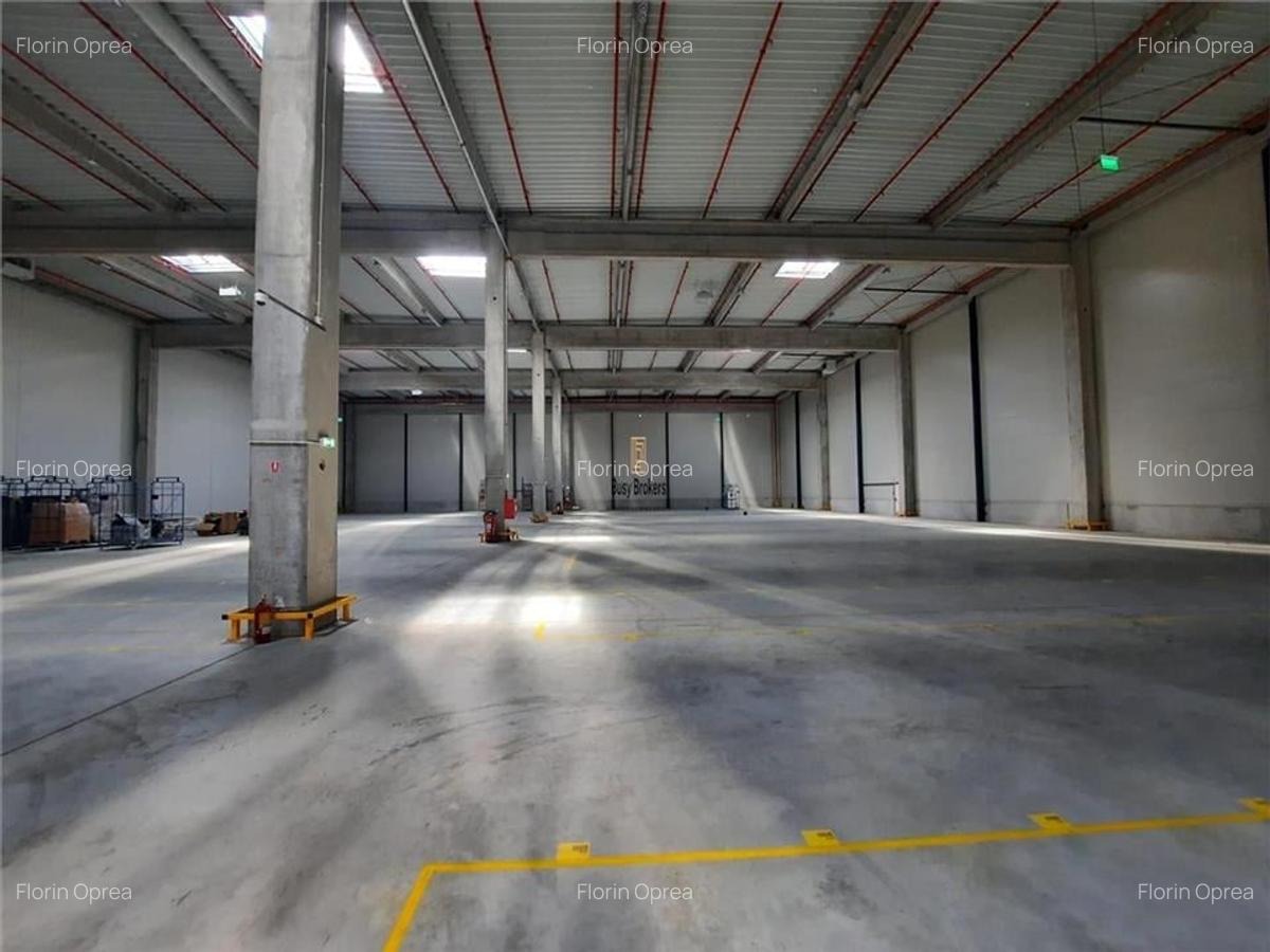 Spatiu Industrial - 3000 mp - Logistica - Productie - Depozitare - 1