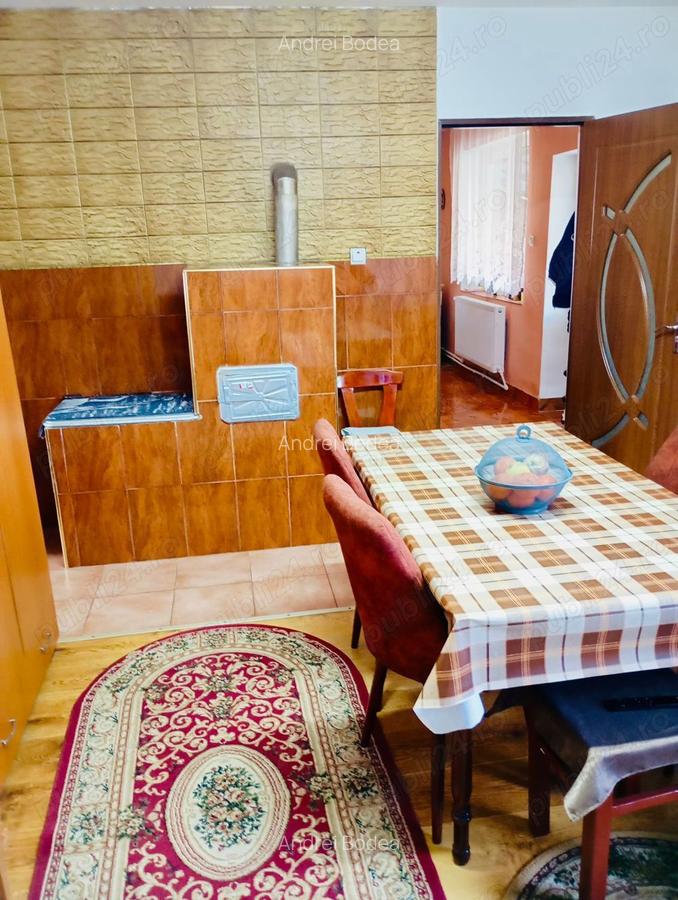 Vand casa in ?ebea la 7 km de Brad - 4