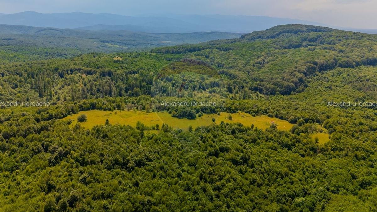 Teren intravilan de 1551 mp, în Grid - 12