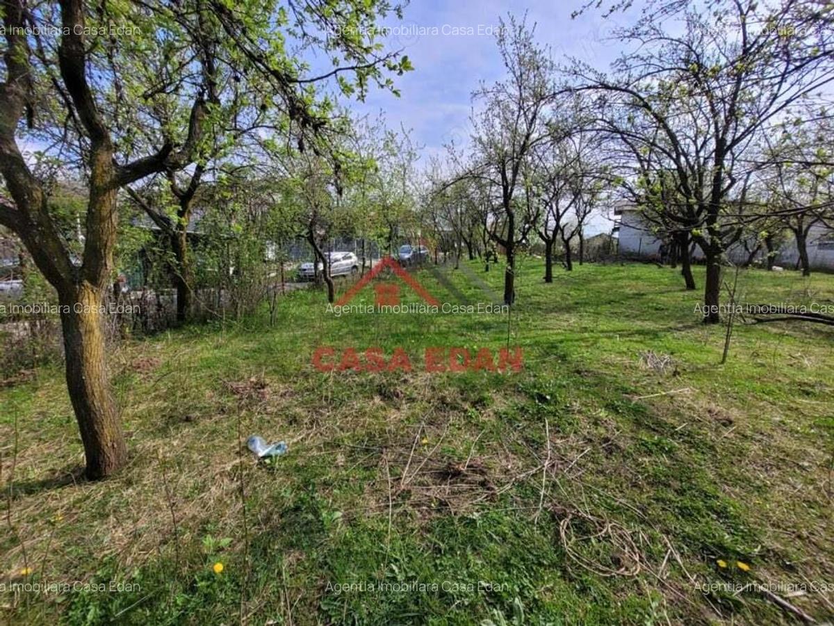 Teren intravilan in Baicoi central 2338 mp 42.000e - 6