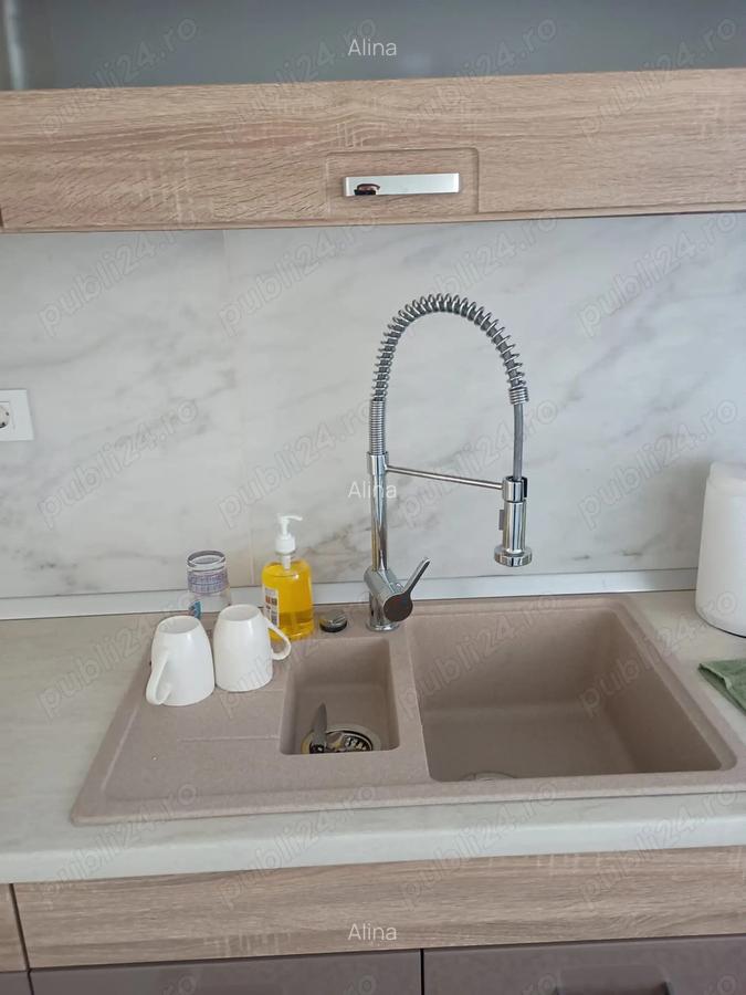 Vand apartament cu 2 camere cu curte privata in Iasi - 9