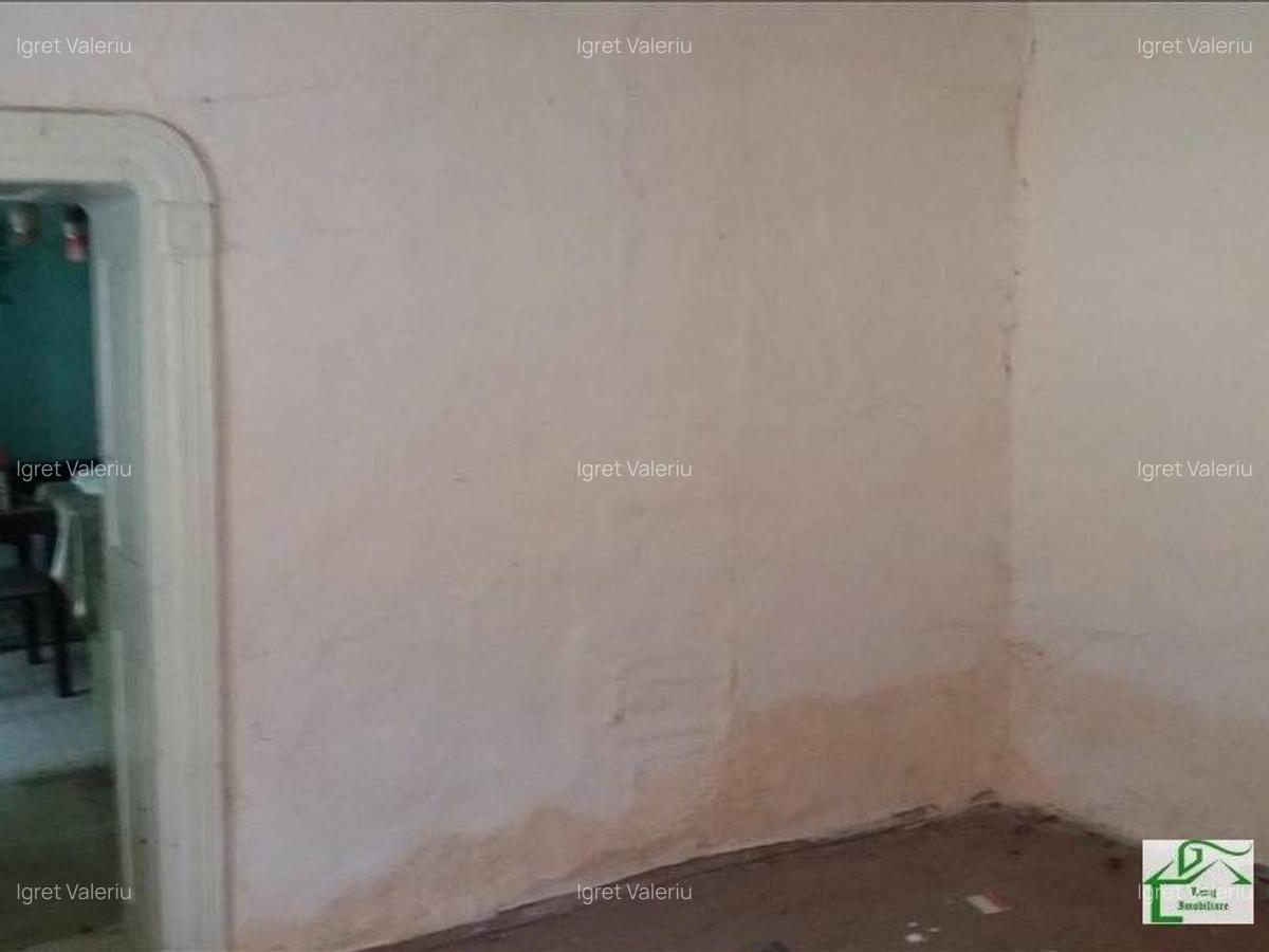 Casa 3 camere de vanzare Vladimirescu X1RF1139S - 4