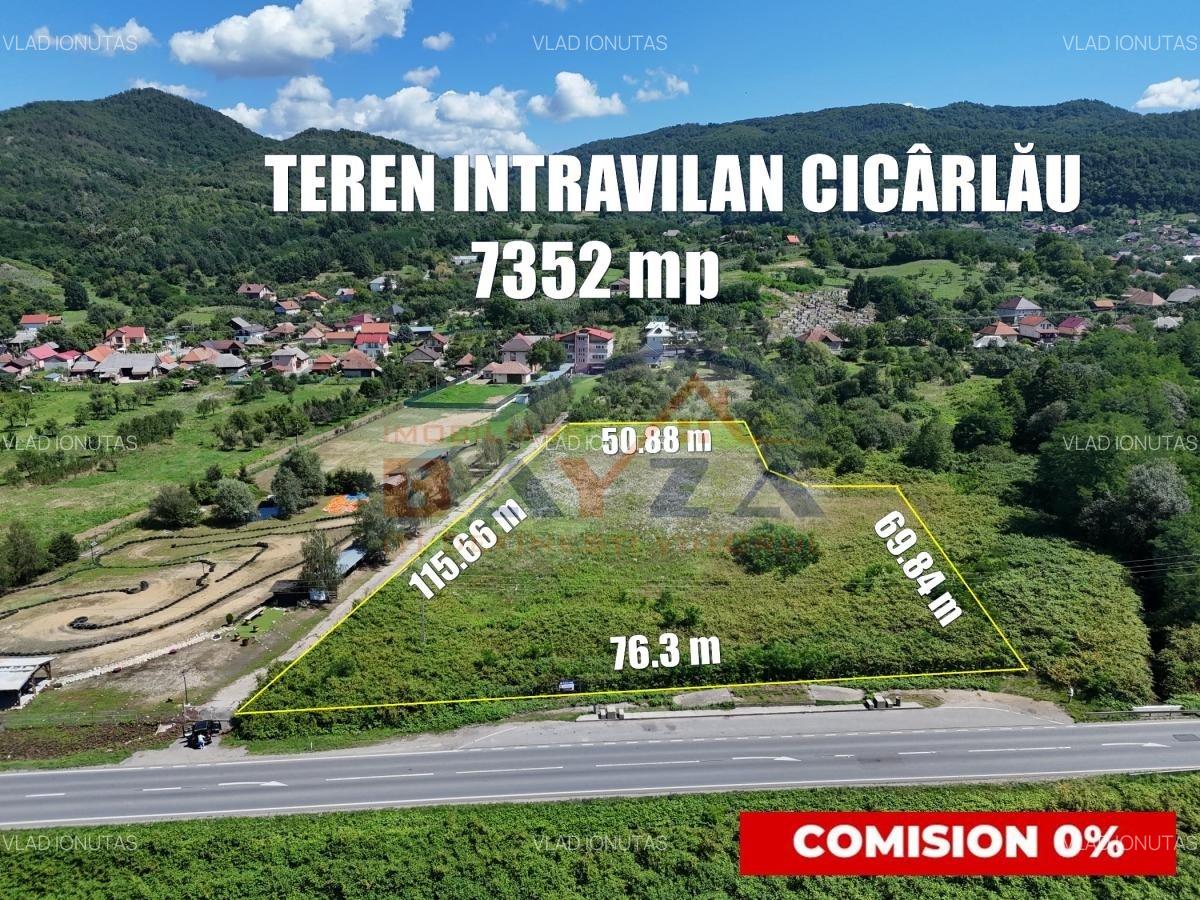 Teren intravilan 7352 mp, cu Deschidere 76.3 m la Șoseaua Națională - Cicârlău - 1