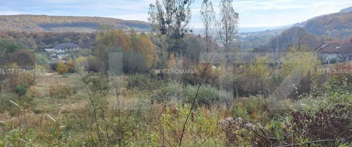 Investitie ! Proiect autorizat casa alipite , Feleacu ,Valea - 4