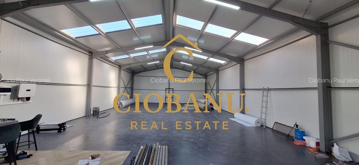 Hala de vanzare in Racarii de Jos - 20