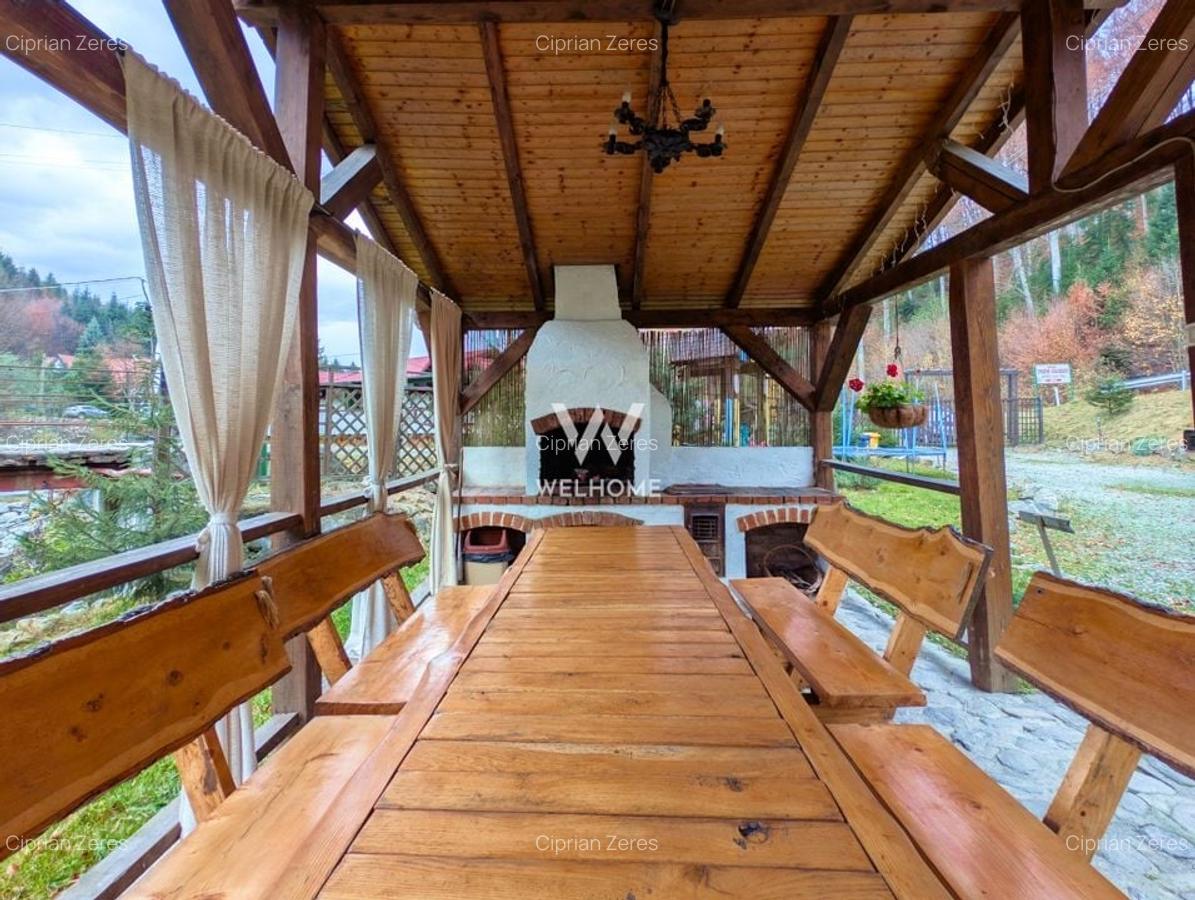 Cabana / Casa de vacanta pe Transfagarasan - Sibiu - 9