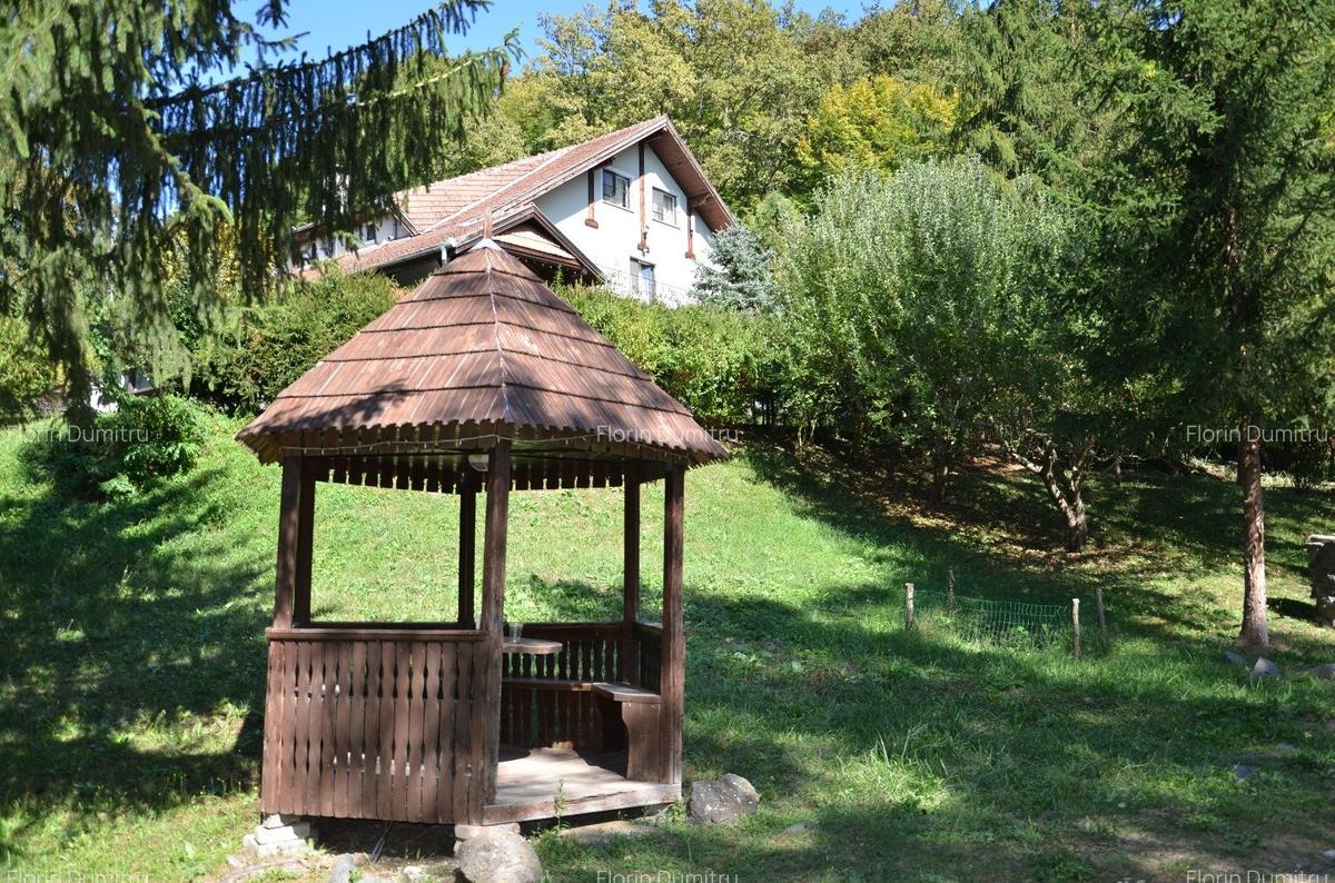 Pensiune cu restaurant si teren generos  langa Sighisoara - 9