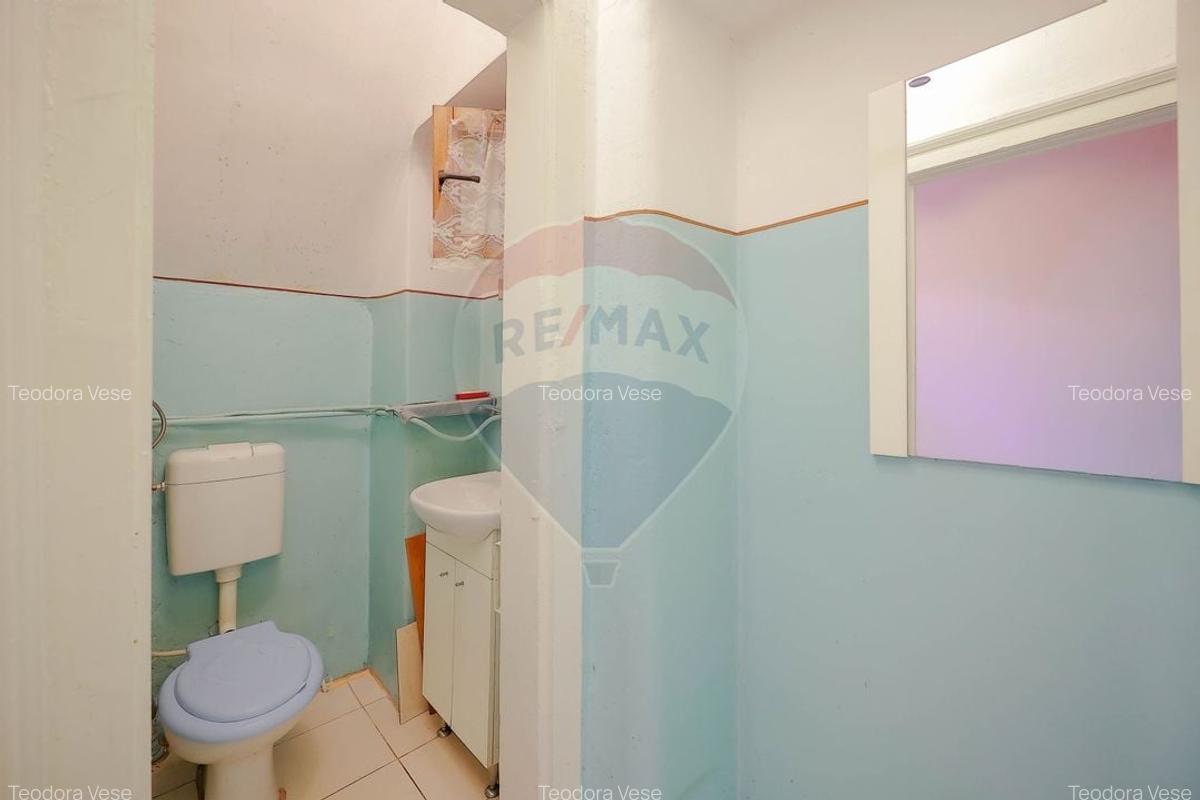 Apartament cu 2 camere de vanzare, cladire istorica, ultracentral - 16