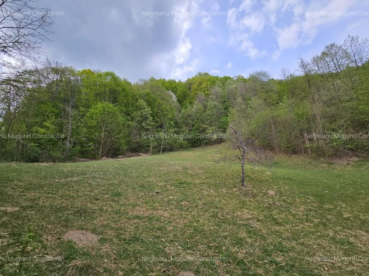 Teren intravilan 1454 mp la marginea padurii zona locuita de case! - 1