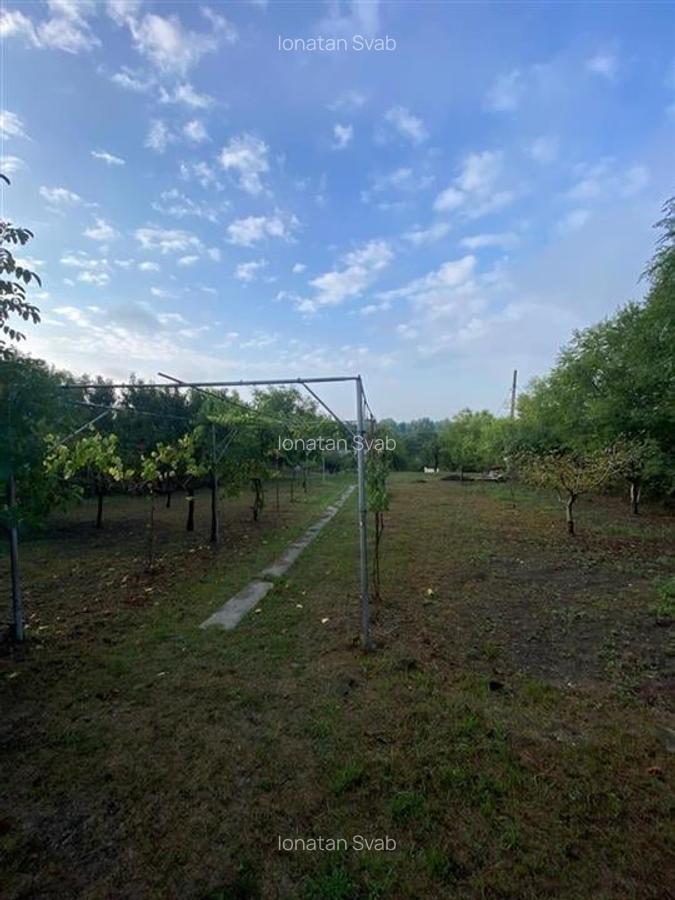 Reco Teren intravilan in Podgoria 2282mp - 3