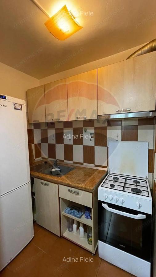 Apartament cu 1 camera de inchiriat in zona Brazda lui Novac - 9
