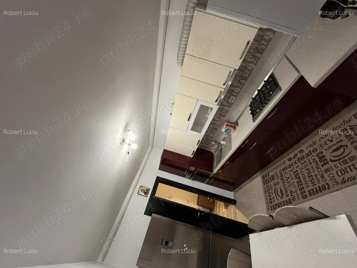 Apartament 2 camere de inchiriat S6 grani?a cu Ro?u - 13