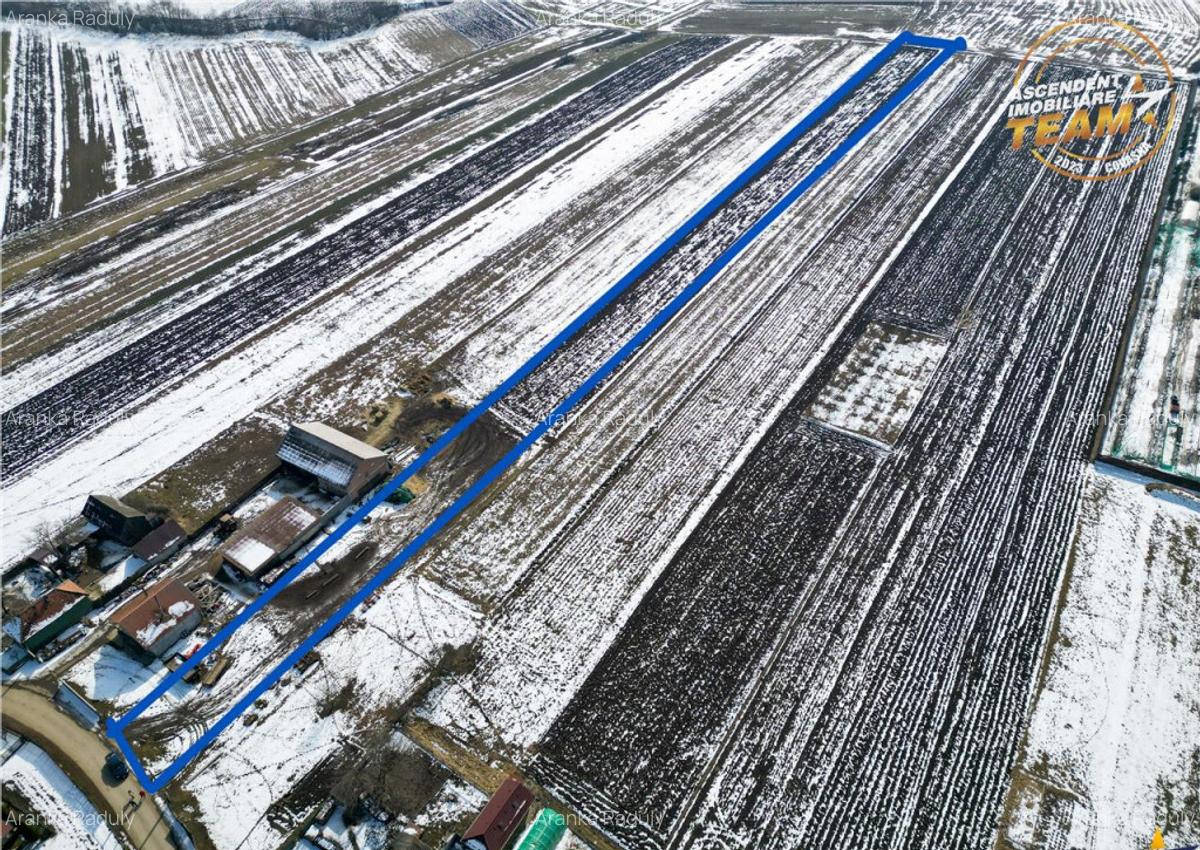 Suprafata intravilan 6.425 mp, oportunitate platforme rezide - 4