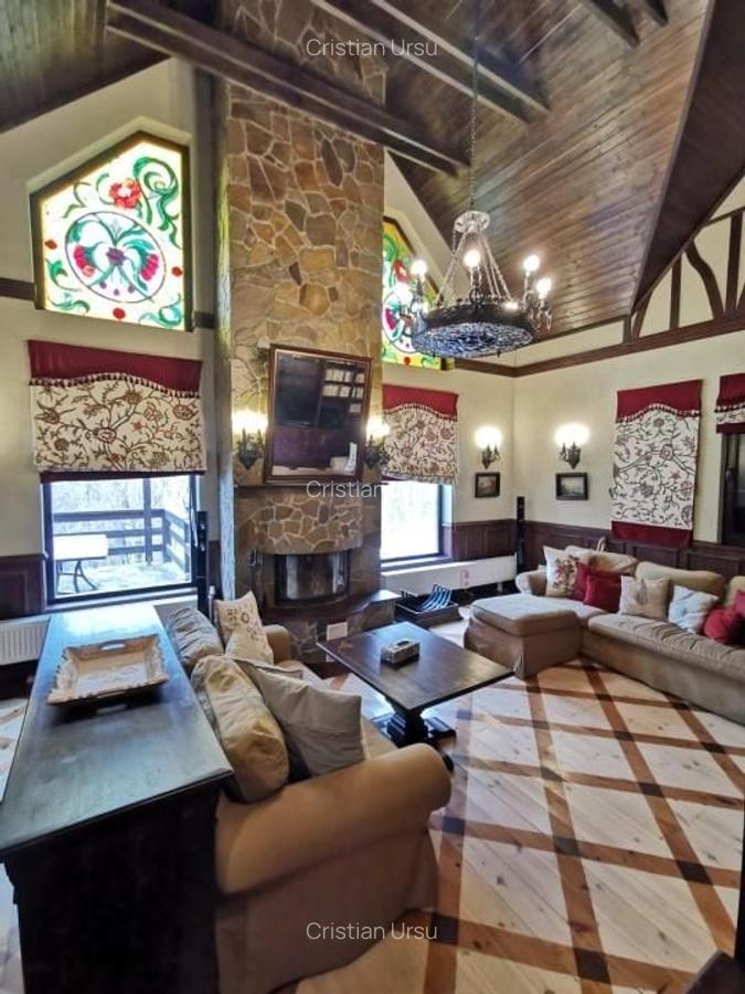 Casa de vacanta deosebita Breaza- Nistoresti - 4