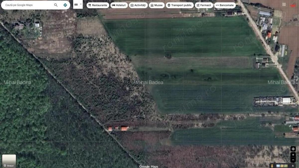 `Teren cu dubla deschidere, langa padure, Snagov - Strada Parcului - 4