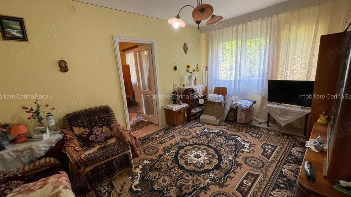 Aleea Parcului langa Colegiul V.Alecsandri 41.900E - 4