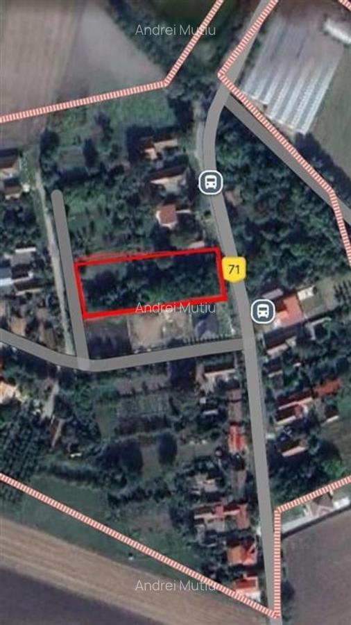 Teren Construcții intravilan de 1746 mp, în Santăul Mare - 1