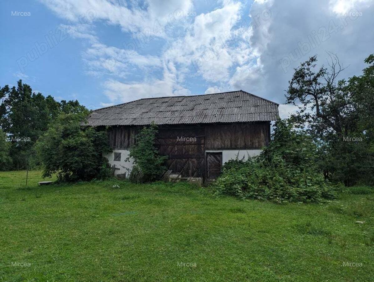 Casa 115 m sat Pomi 1 Hectar pamant - 1