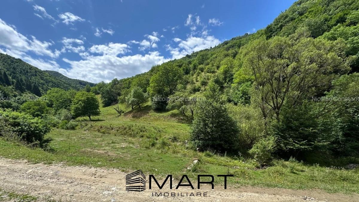 Teren intravilan 8500mp Rasinari - 1